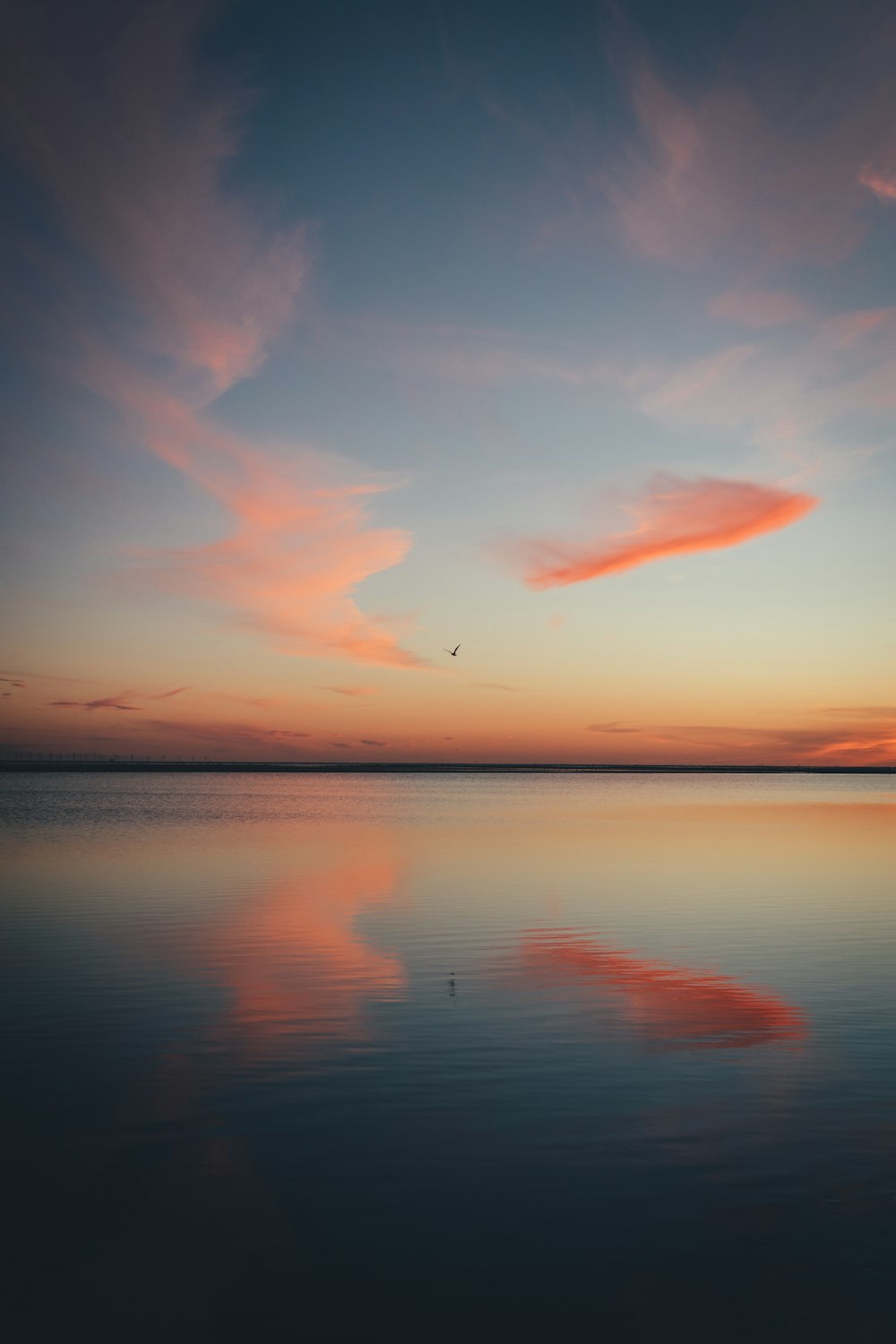 空を飛ぶ鳥と海に沈む美しい夕日