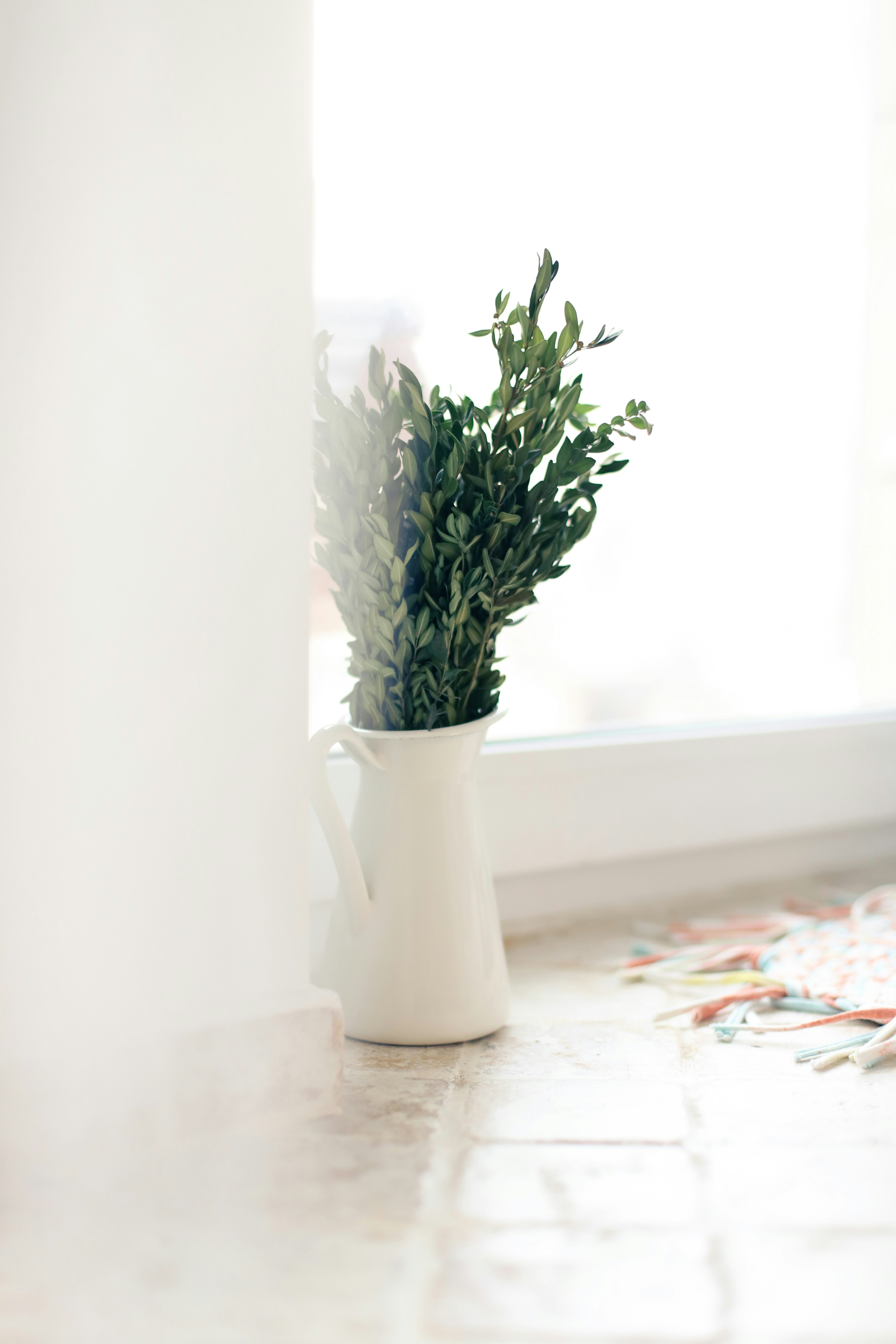 Photo by lapshinakseniia