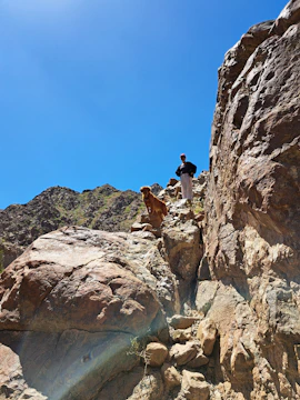 Dog walking confidently on a mountain trail with owner nearby.