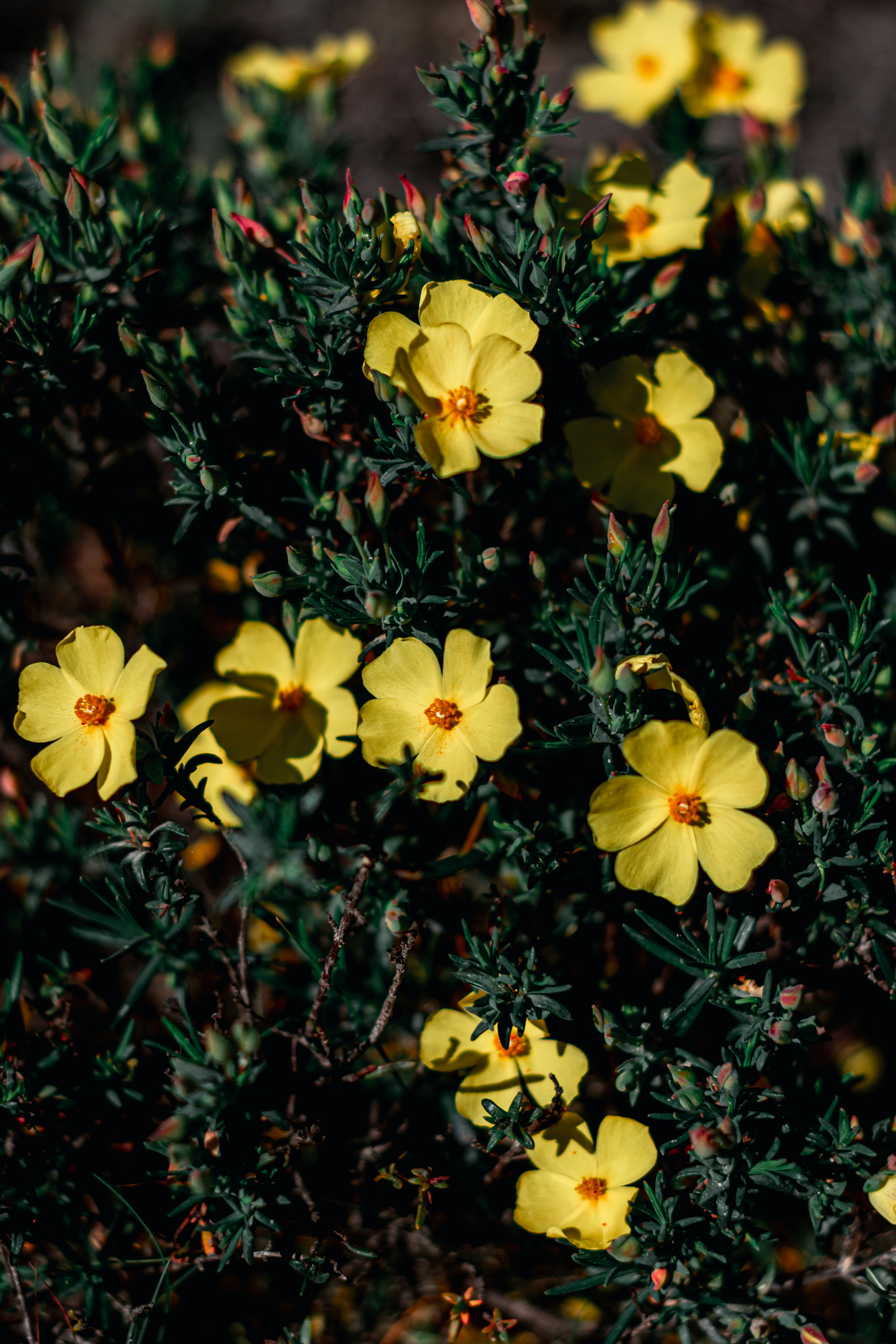 Photo by vadym_alyekseyenko