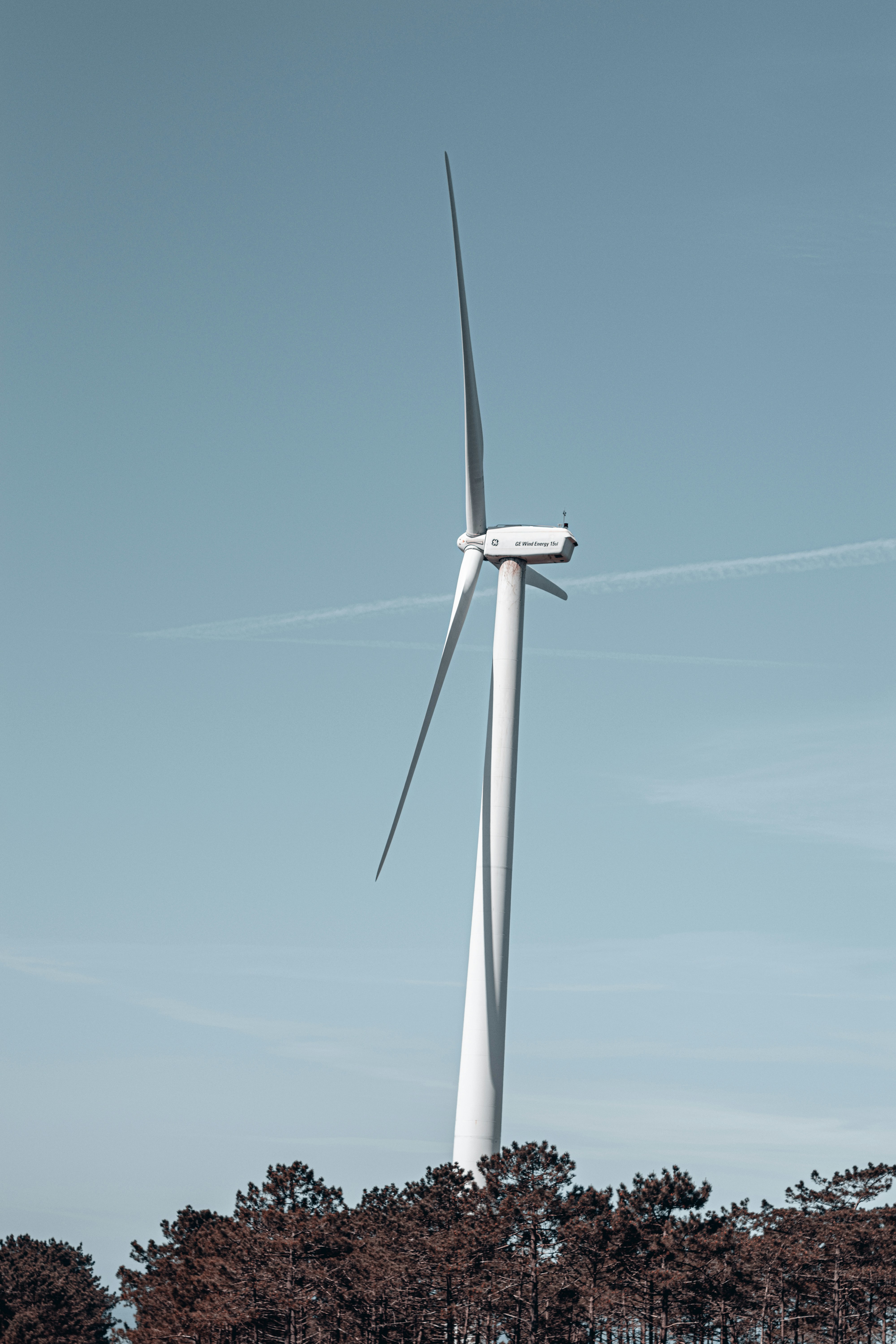 Photo by vadym_alyekseyenko