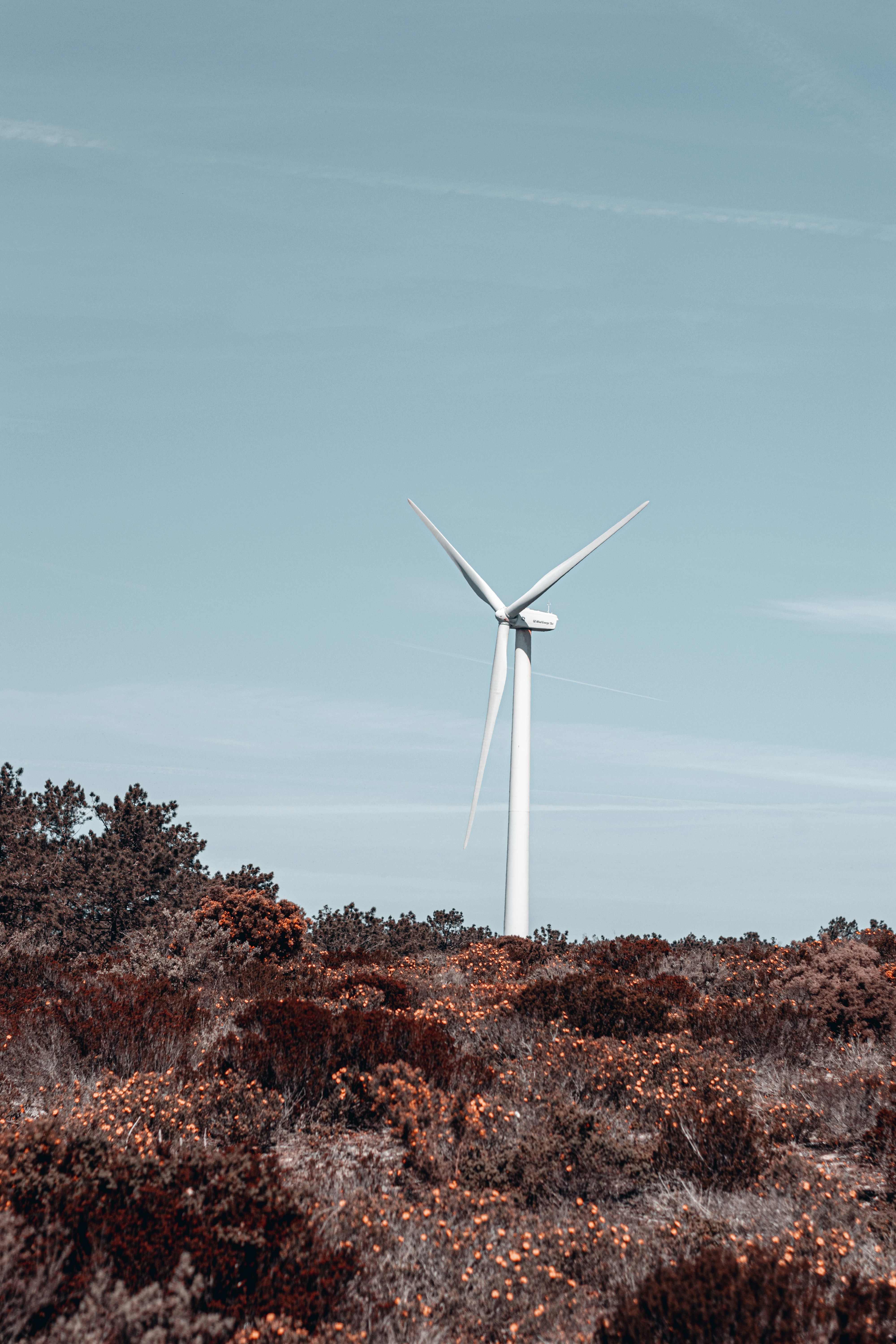 Photo by vadym_alyekseyenko