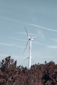 Two large wind turbines are standing above a dense green forest under a clear sky. The turbines are white and tower over the dark green trees, with the blades angled dynamically against the horizon.