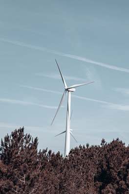 Two large wind turbines are standing above a dense green forest under a clear sky. The turbines are white and tower over the dark green trees, with the blades angled dynamically against the horizon.