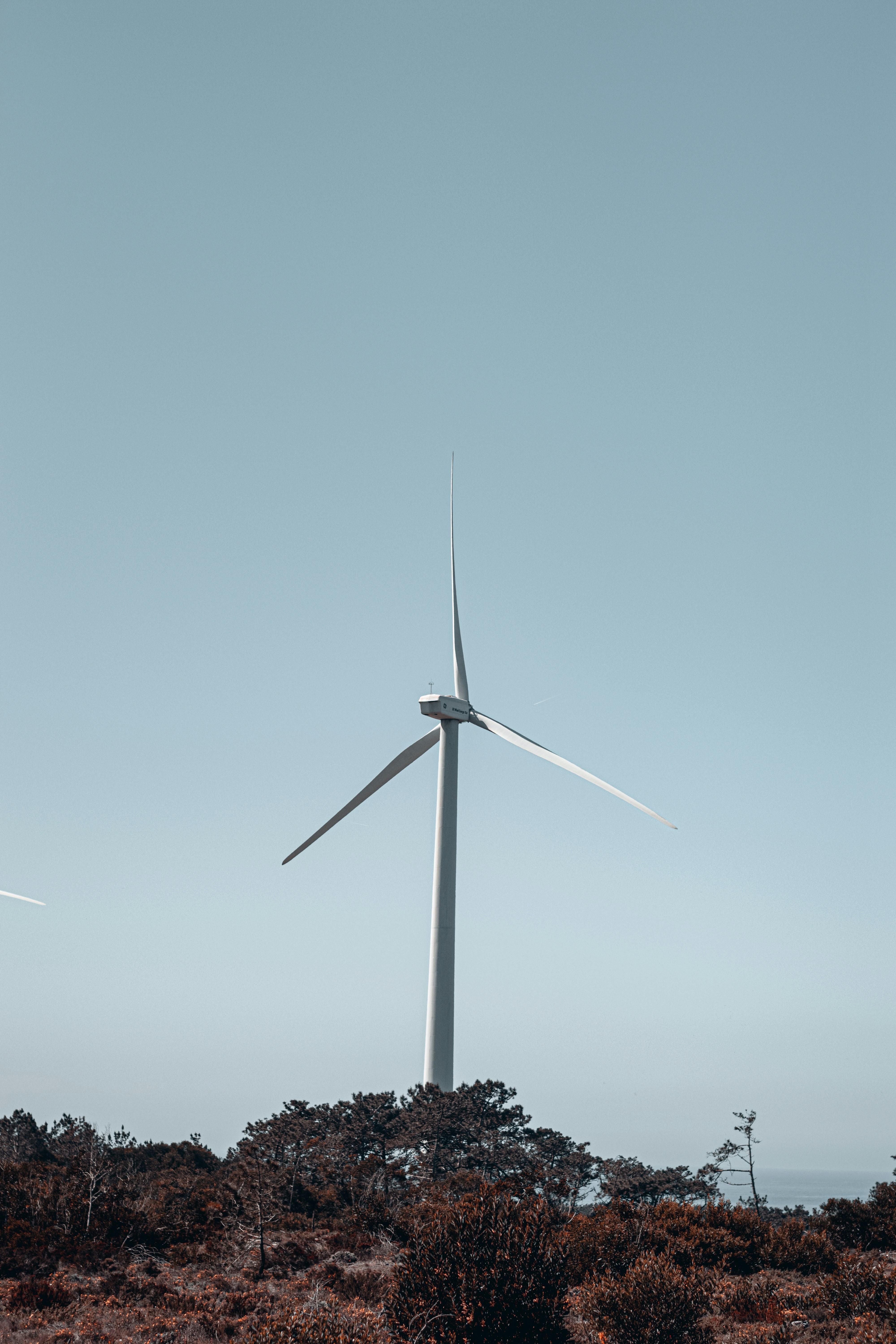 Photo by vadym_alyekseyenko