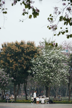 A serene community gathering under blooming lilac trees, sharing stories.