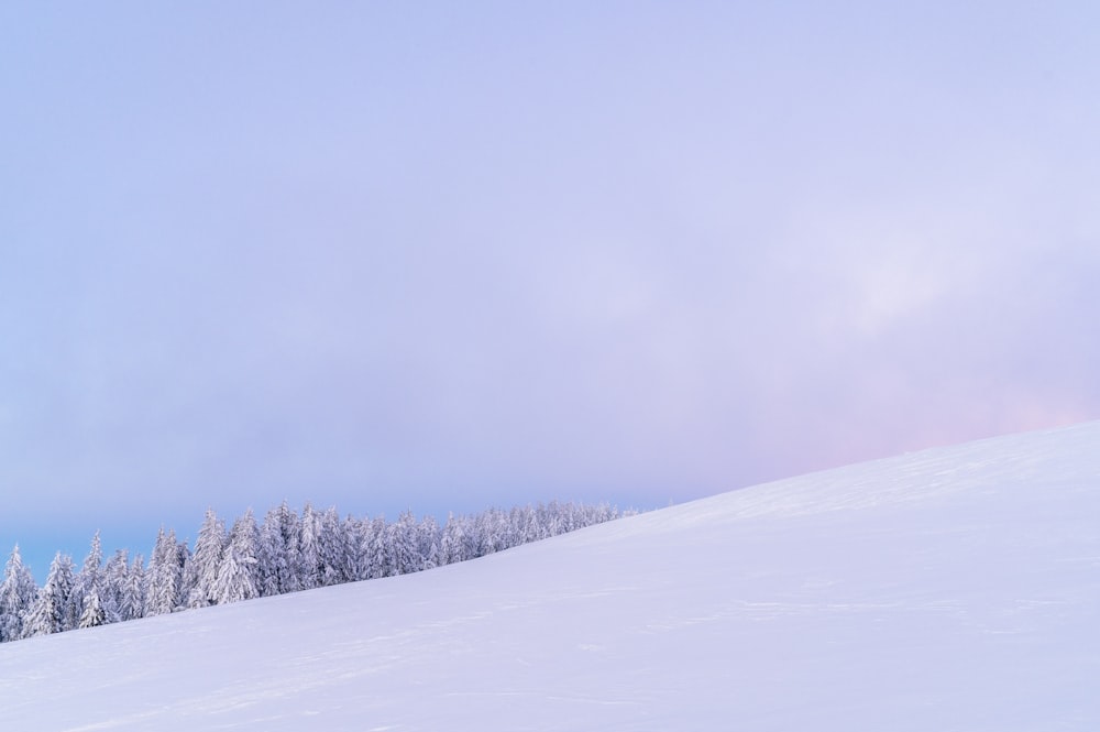 a person riding skis on a snowy surface