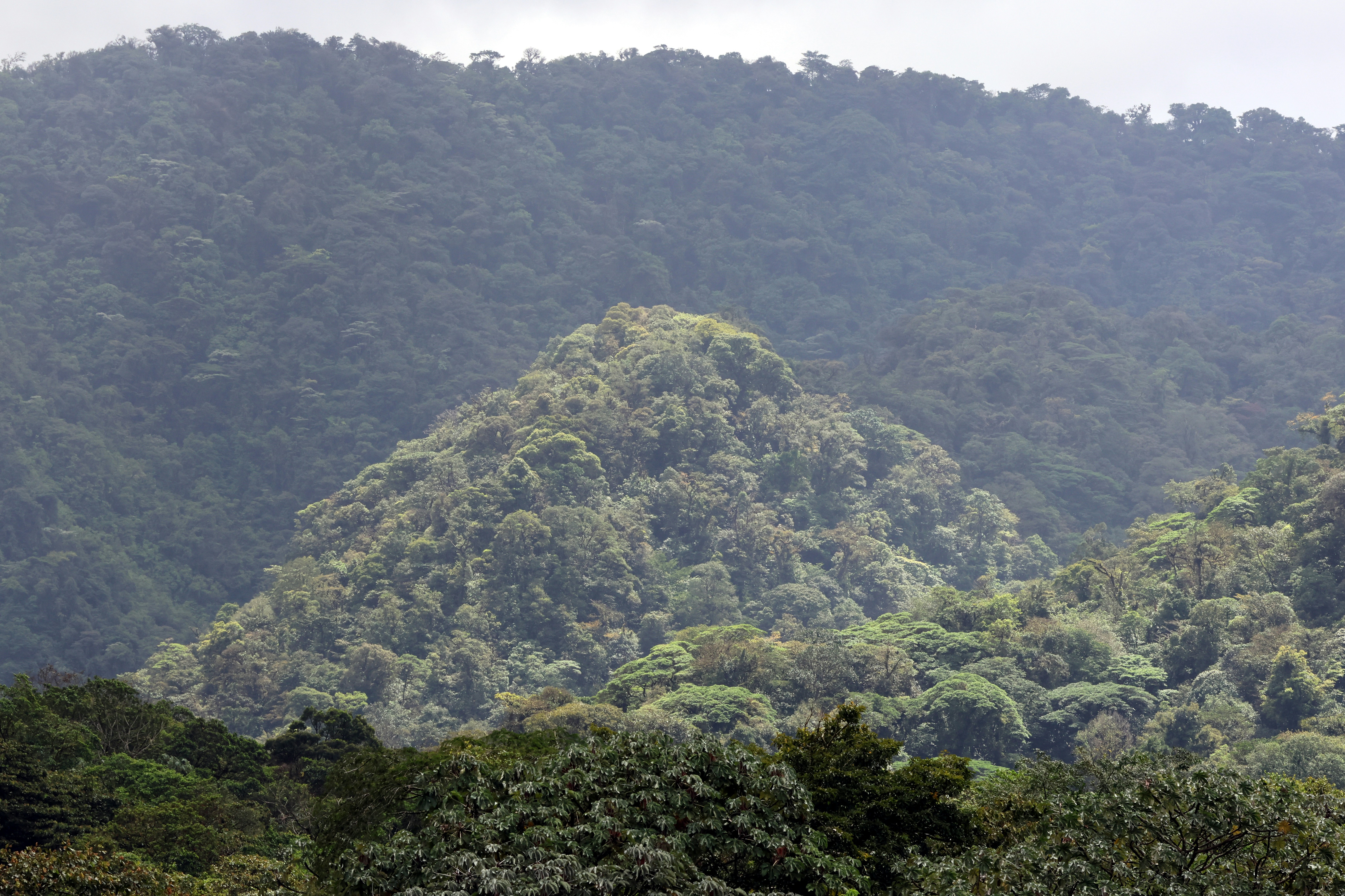 La Fortuna