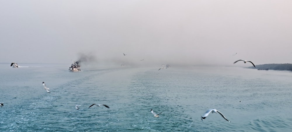 a group of birds flying over a body of water