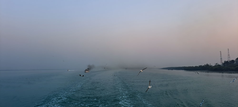 a large body of water with birds flying around it