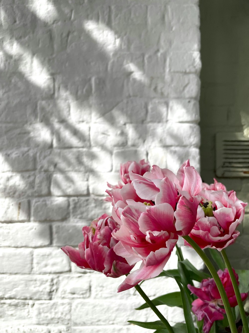 a vase filled with pink flowers next to a white brick wall