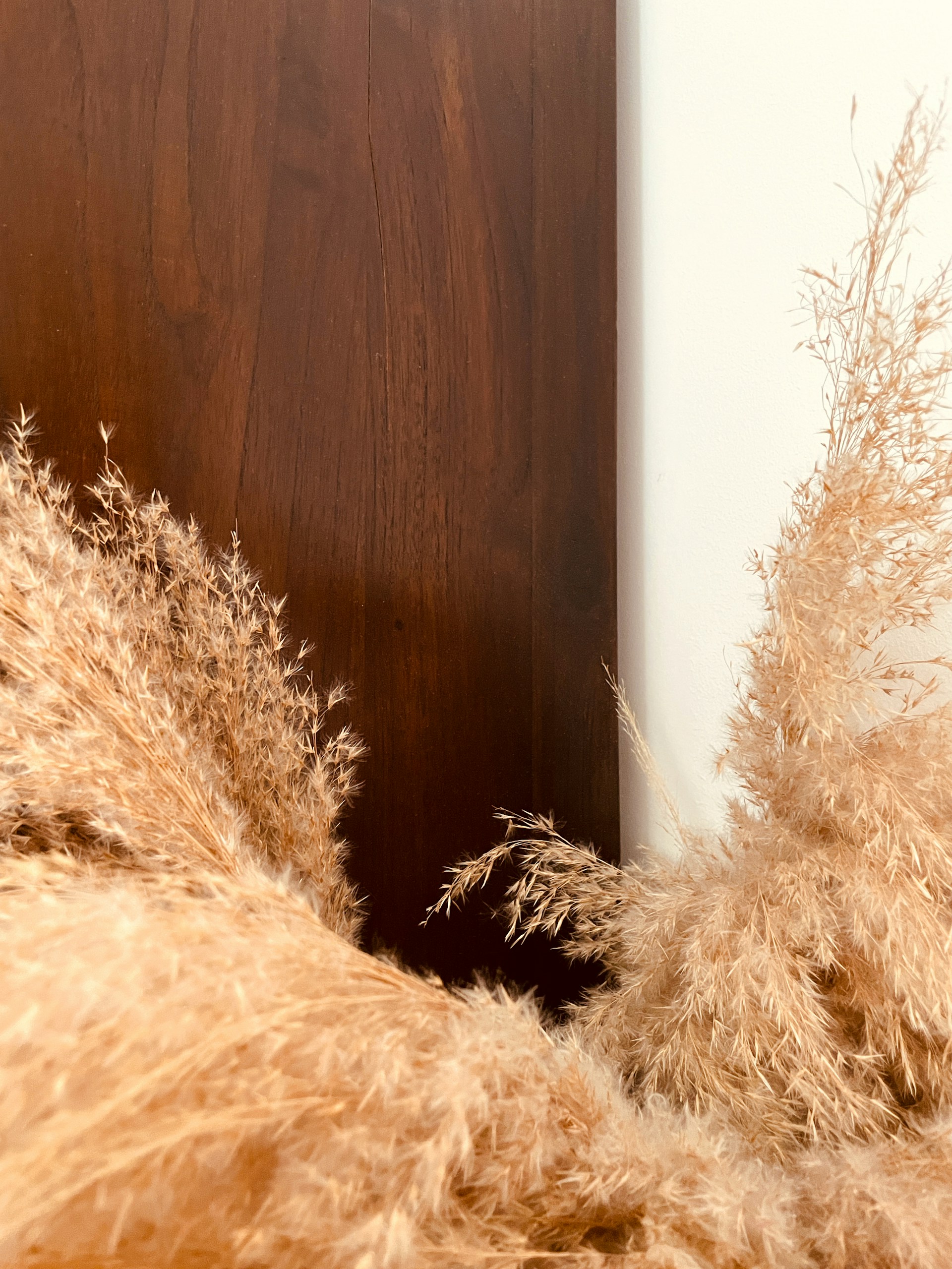 a furry animal laying on top of a bed next to a wooden wall