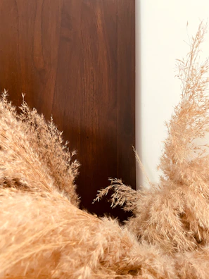 a furry animal laying on top of a bed next to a wooden wall