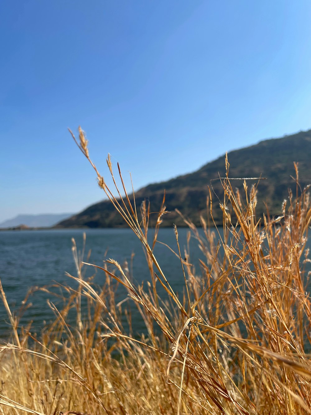 a view of a body of water with a hill in the background