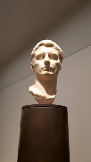 Marble bust with smooth curves and expressive features on a pedestal