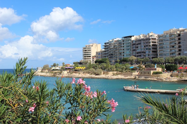 A coastal scene with modern apartment buildings lining the shoreline. There are clear blue skies with scattered clouds and a calm turquoise sea. In the foreground, flowering bushes add vibrant color, while people can be seen enjoying the water near a pier.