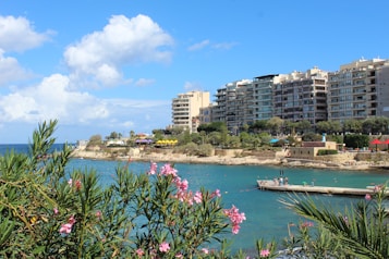 A coastal scene with modern apartment buildings lining the shoreline. There are clear blue skies with scattered clouds and a calm turquoise sea. In the foreground, flowering bushes add vibrant color, while people can be seen enjoying the water near a pier.