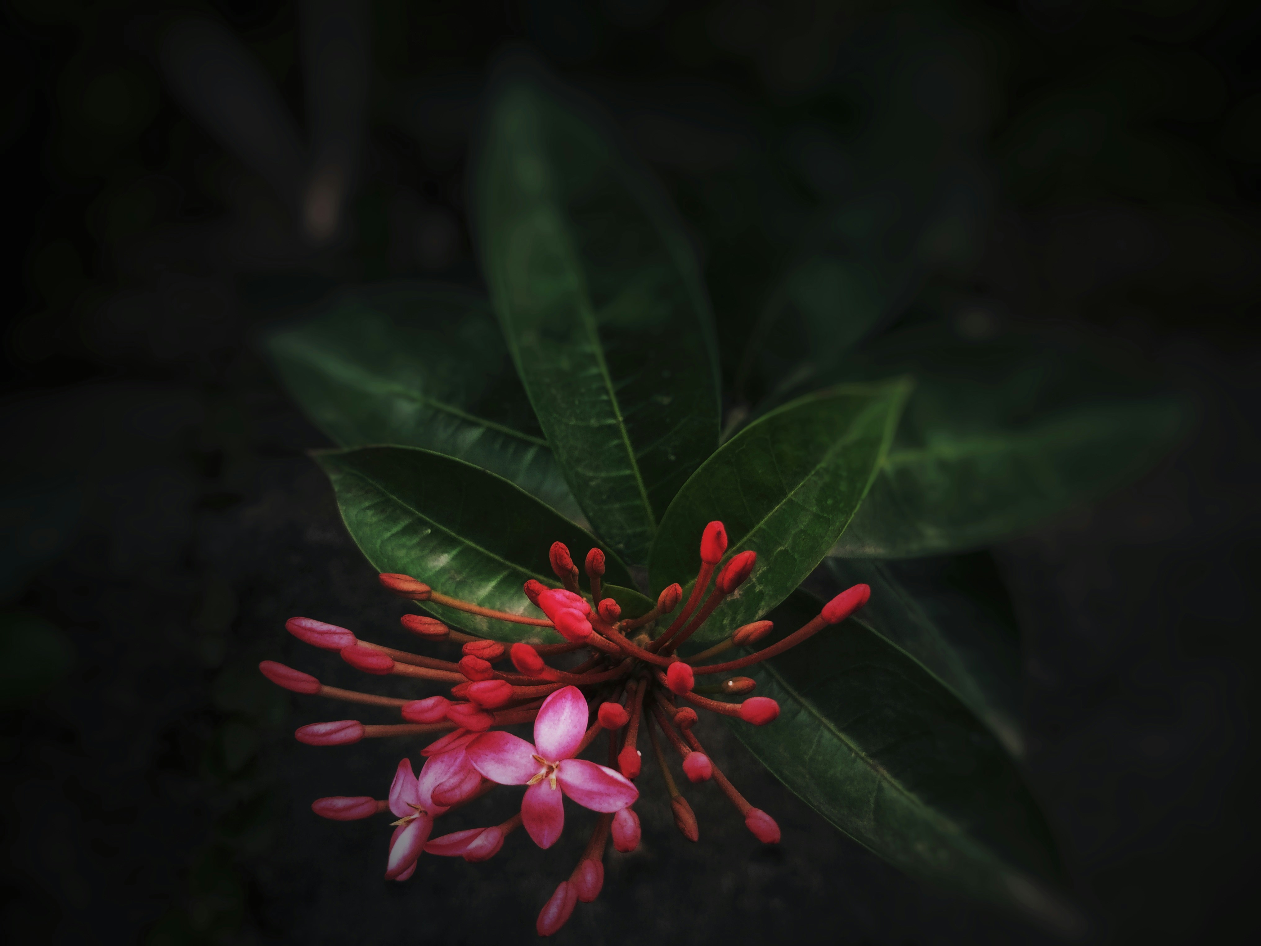 Photo by fullondani