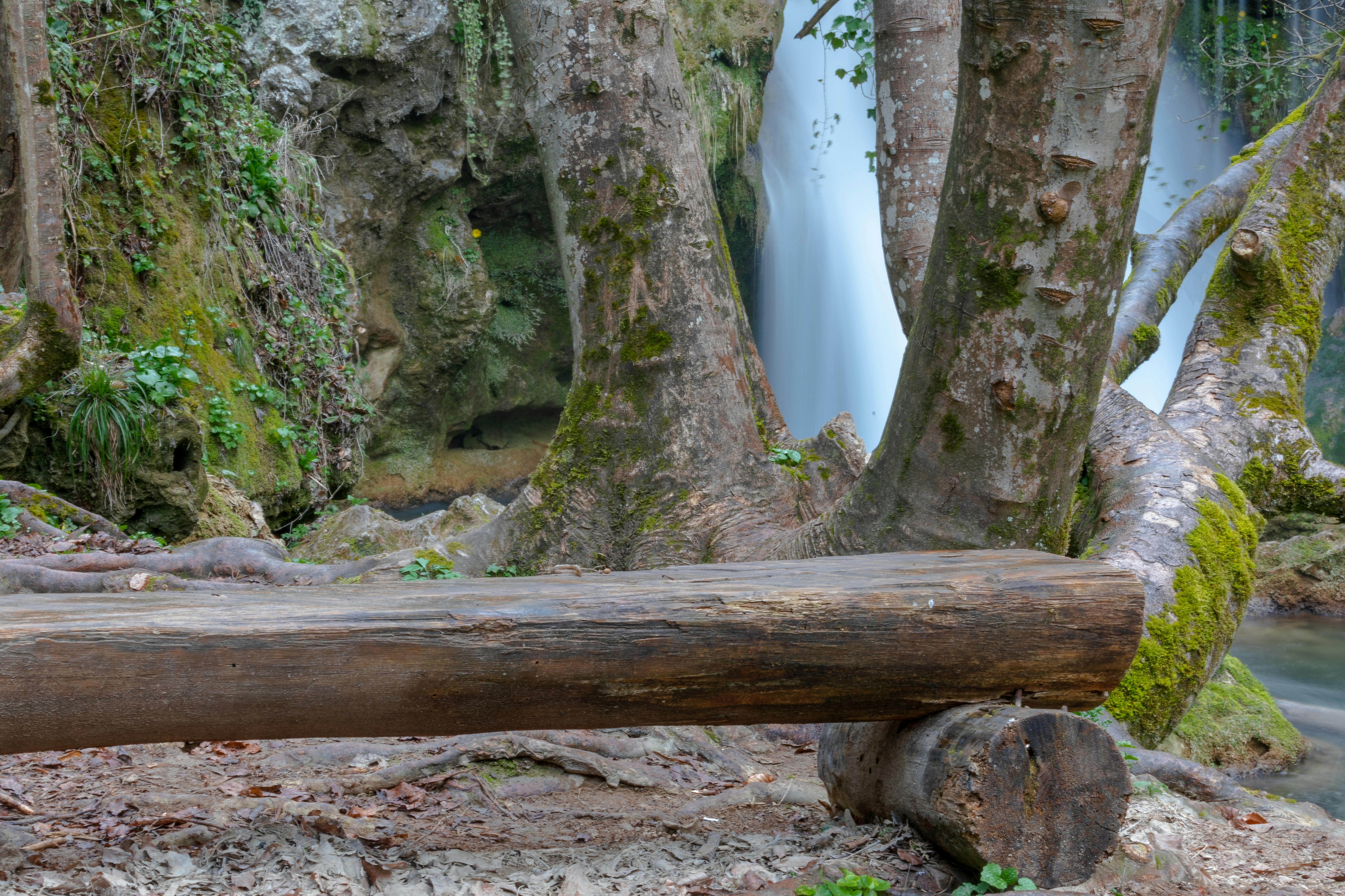 a log sitting in front of a waterfall, 