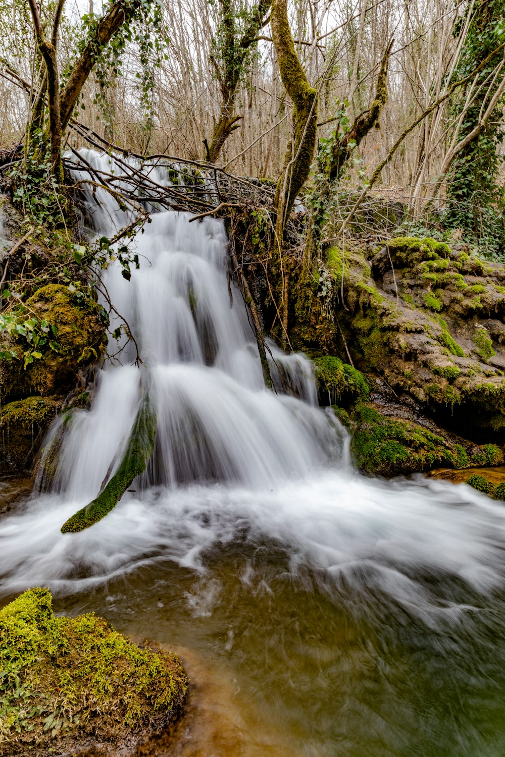 a small waterfall in the middle of a forest