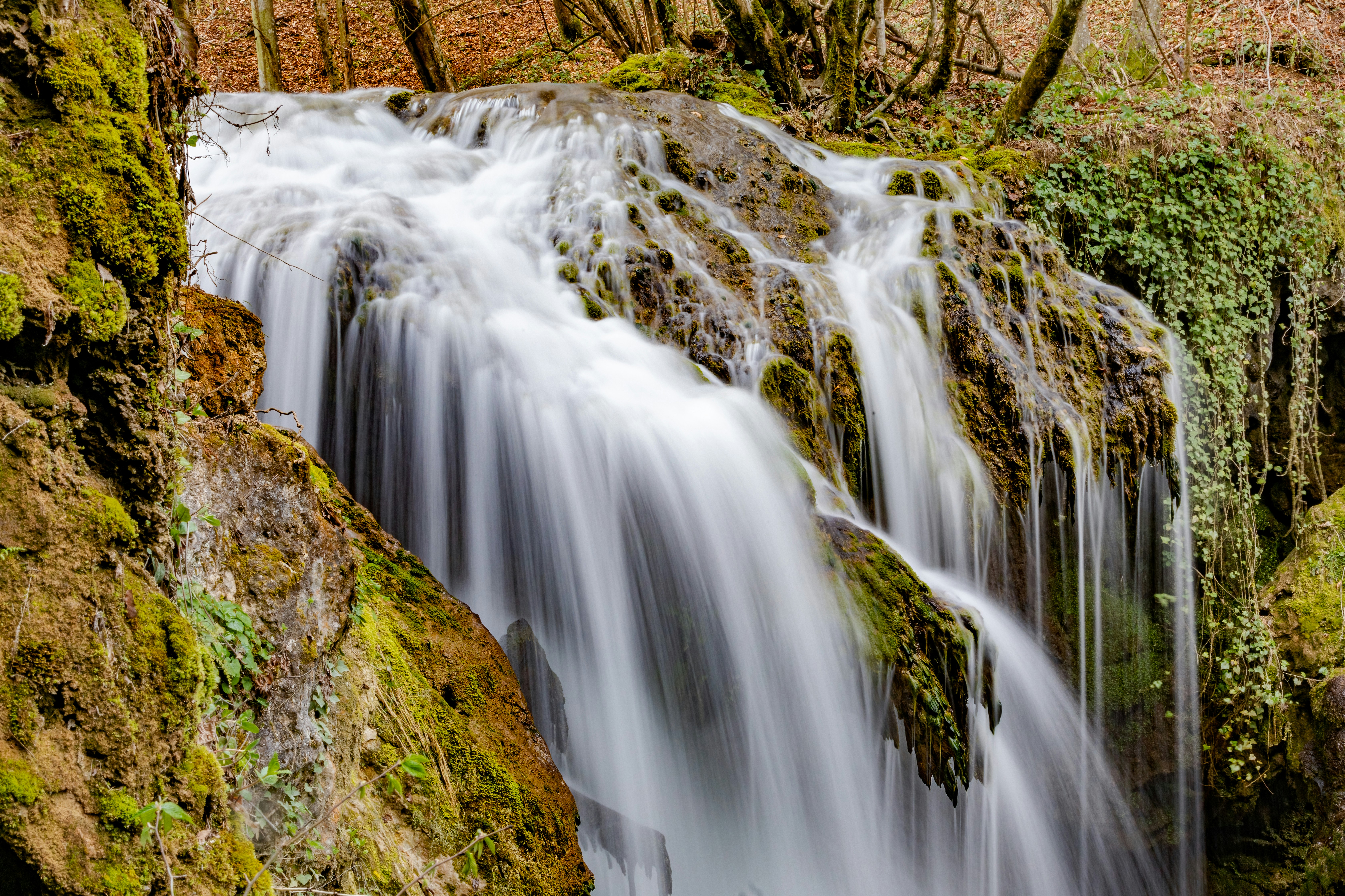 Photo by ovidiugruescu