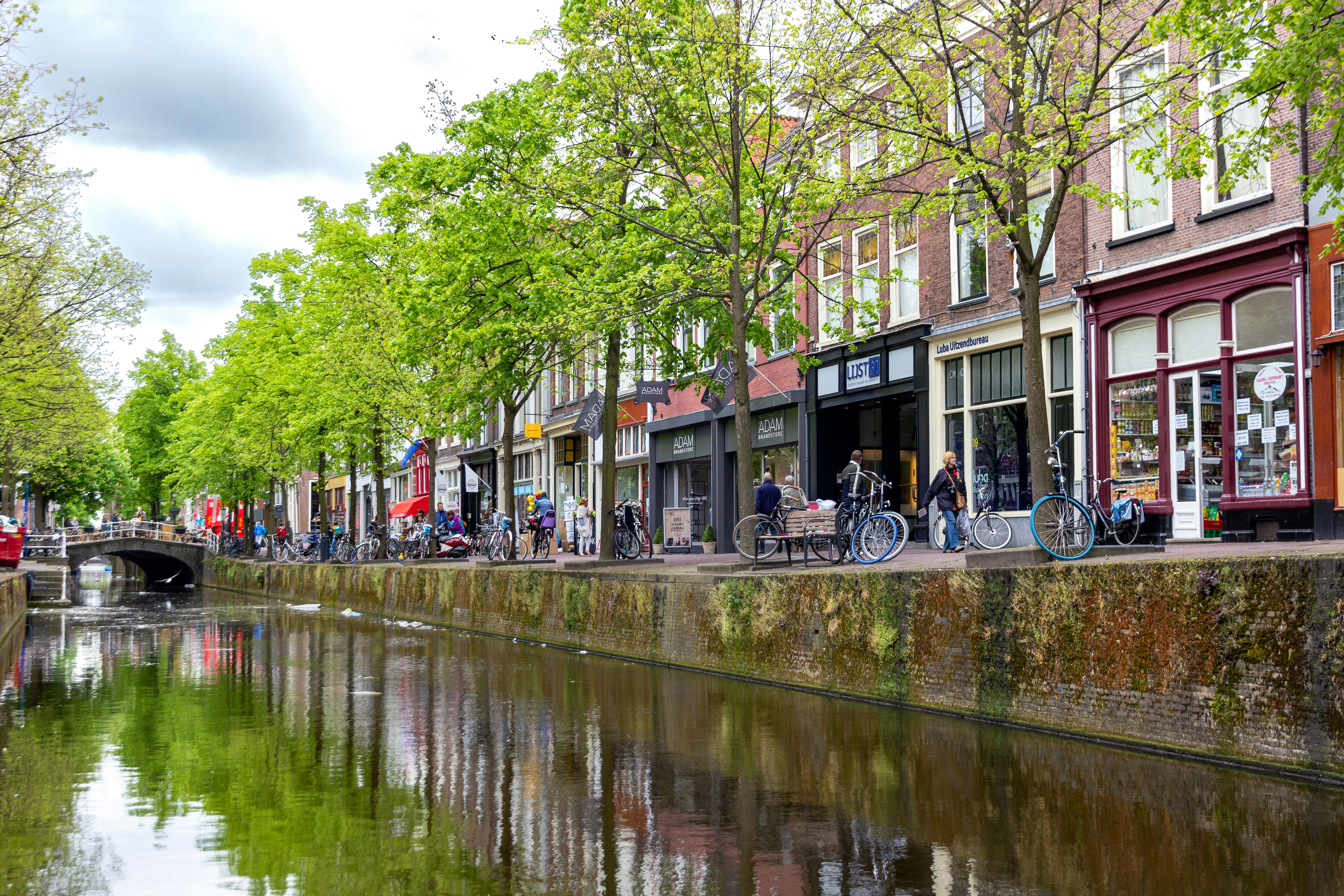 Photo by solomonikvik