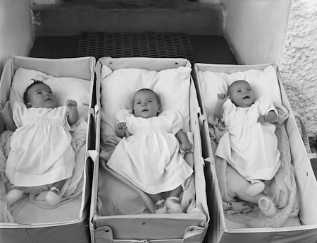 triplets with different life path