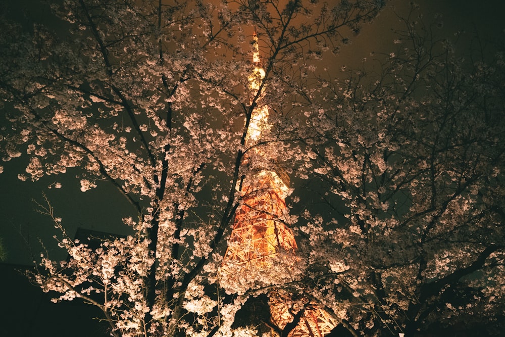 La Torre Eiffel se ilumina por la noche