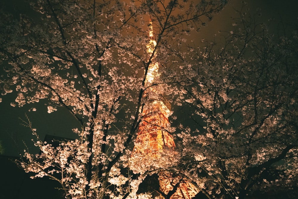 La Tour Eiffel est illuminée la nuit
