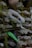 A collection of mannequin arms and hands is stacked on wooden pallets. Some of the hands have different colors, including a prominent green one with black symbols and text. Vines are draped around the structure, adding an organic element to the display. The overall setting appears slightly chaotic and artistic.