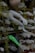 A collection of mannequin arms and hands is stacked on wooden pallets. Some of the hands have different colors, including a prominent green one with black symbols and text. Vines are draped around the structure, adding an organic element to the display. The overall setting appears slightly chaotic and artistic.