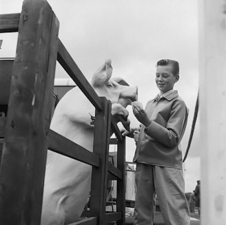 A young boy is feeding a cow through a wooden fence. The boy is smiling and appears to be enjoying the interaction. The setting seems to be a rural or farm environment. The cow is leaning forward, reaching out for the food in the boy's hand.