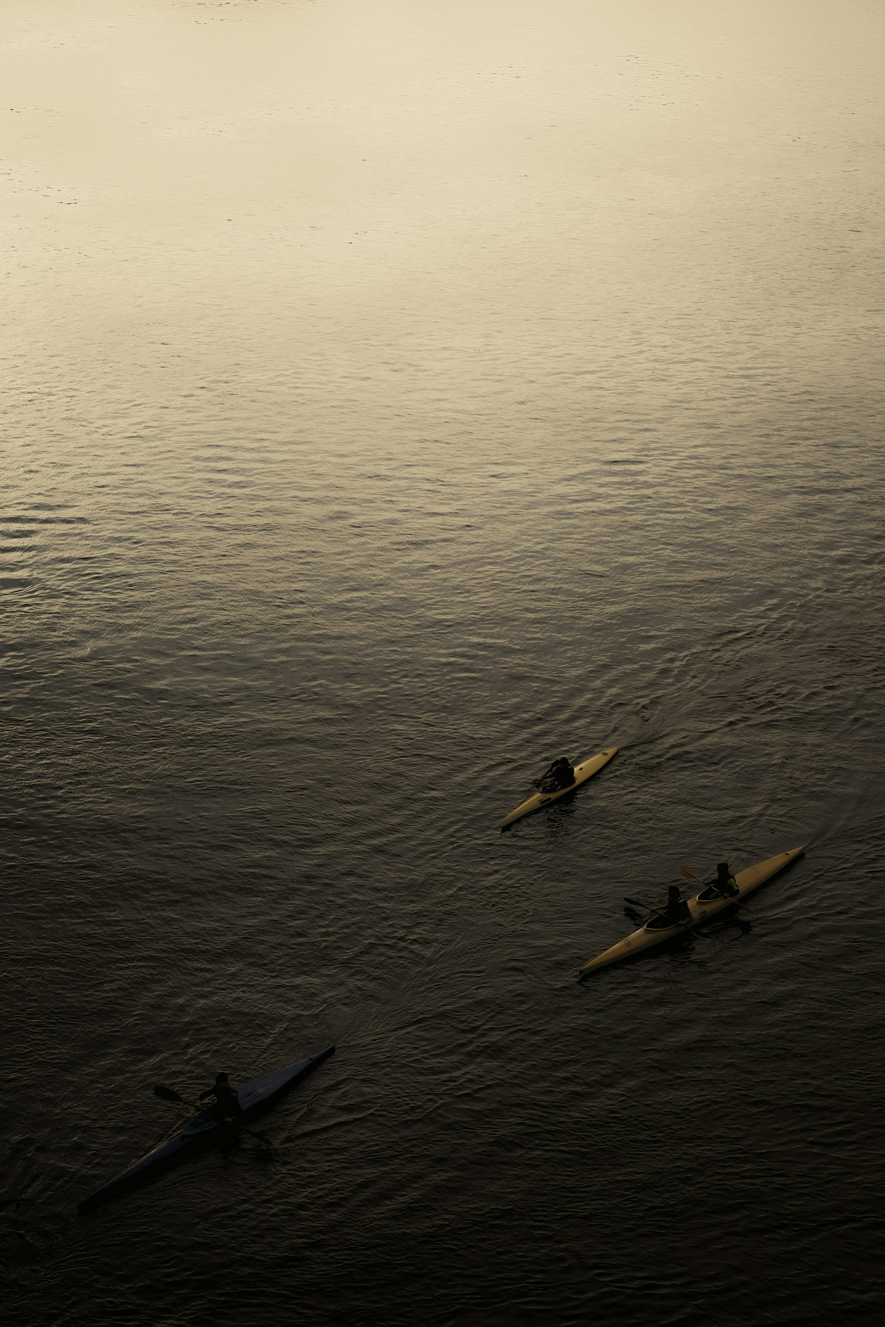 Photo by stachmann