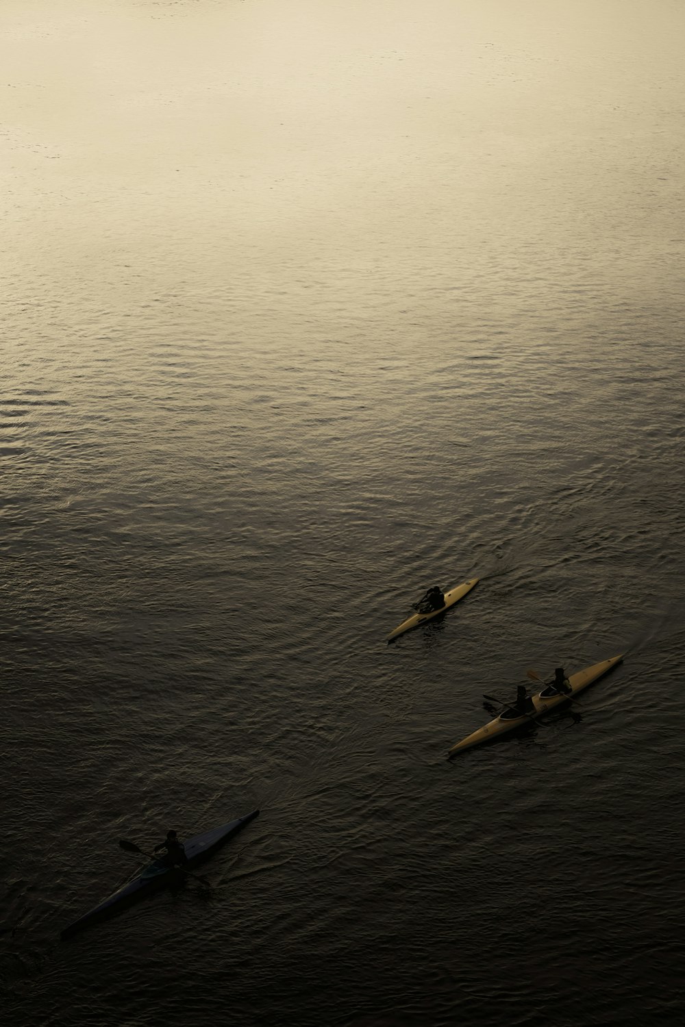 a group of people riding on top of a paddle boat