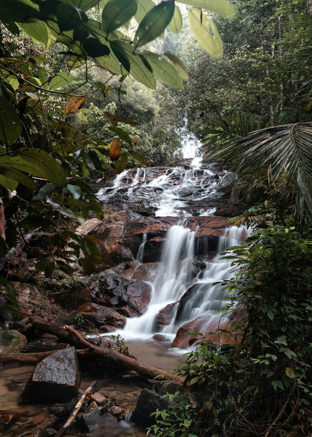 a small waterfall in the middle of a forest