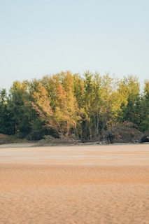 a man riding a horse across a sandy field