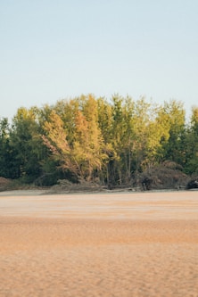 a man riding a horse across a sandy field