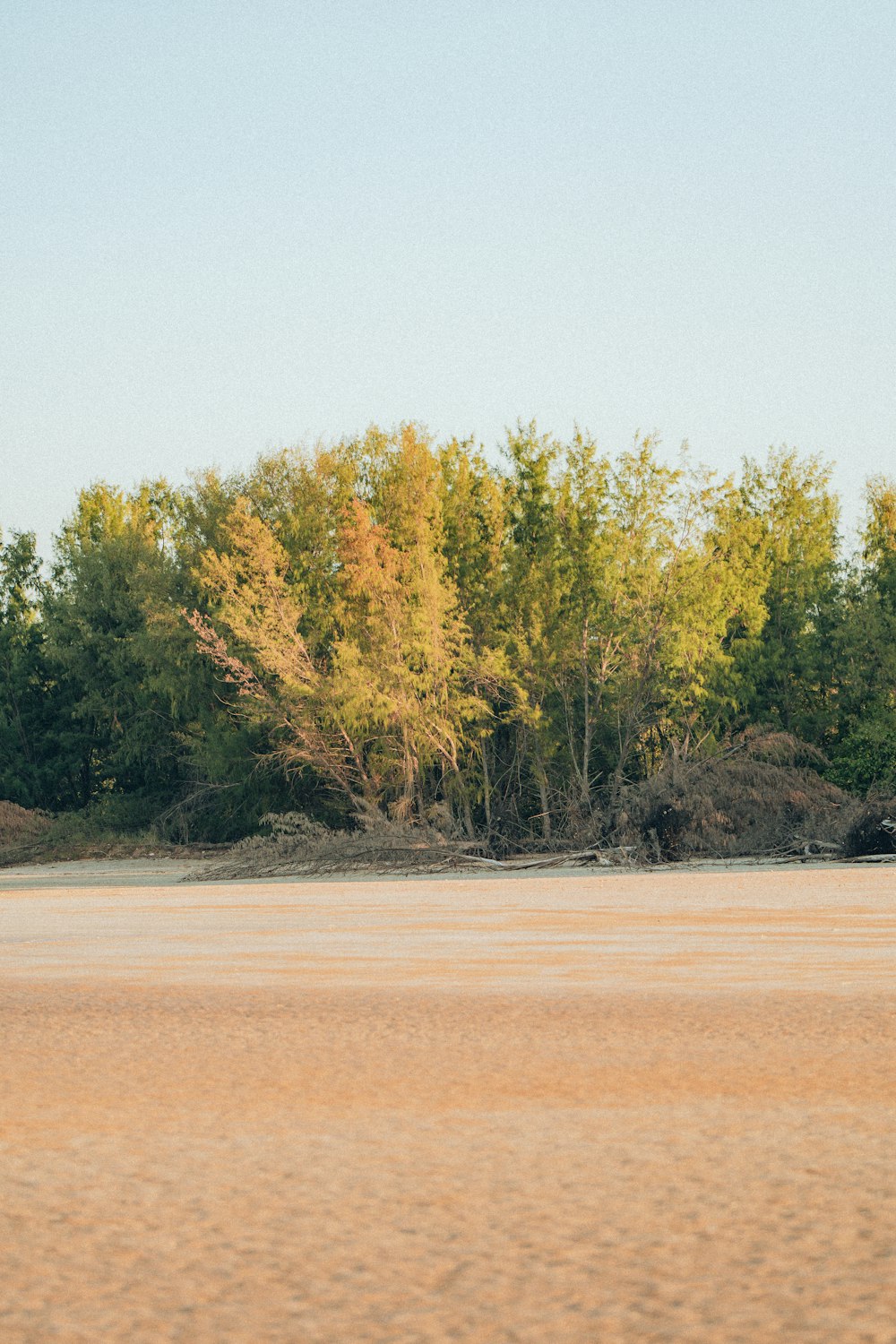 a man riding a horse across a sandy field