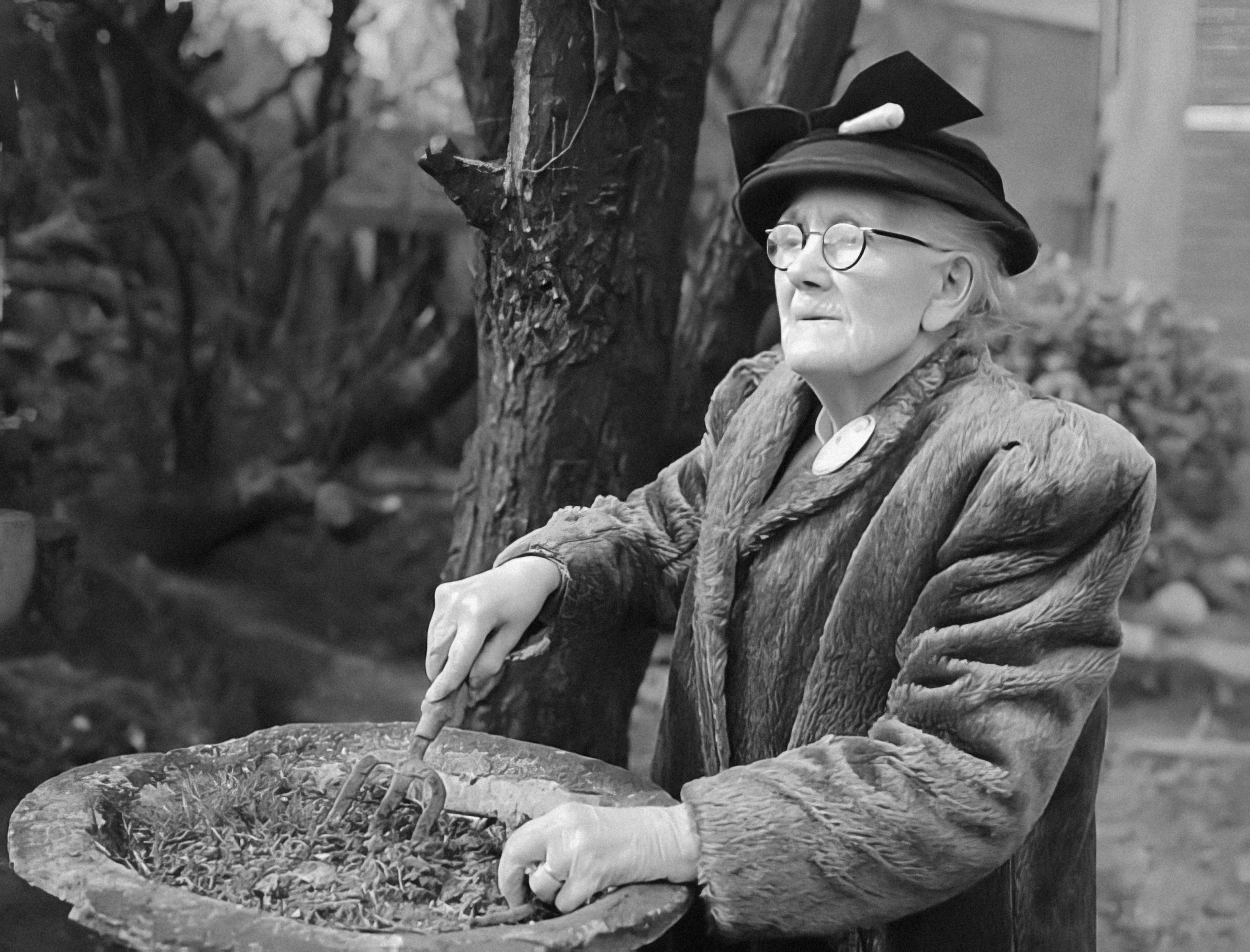 「不只拍美照，更是人生紀念碑！」退休長輩紀念照拍攝企劃：從故事採集到影像傳承全攻略