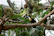 Colorful toucans perched on branches with vibrant jungle plants in the background.