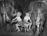 Two young children are sitting on small stools in a barn, each milking a cow with smiles on their faces. The scene appears to be lively and playful, highlighting a moment of rural life.