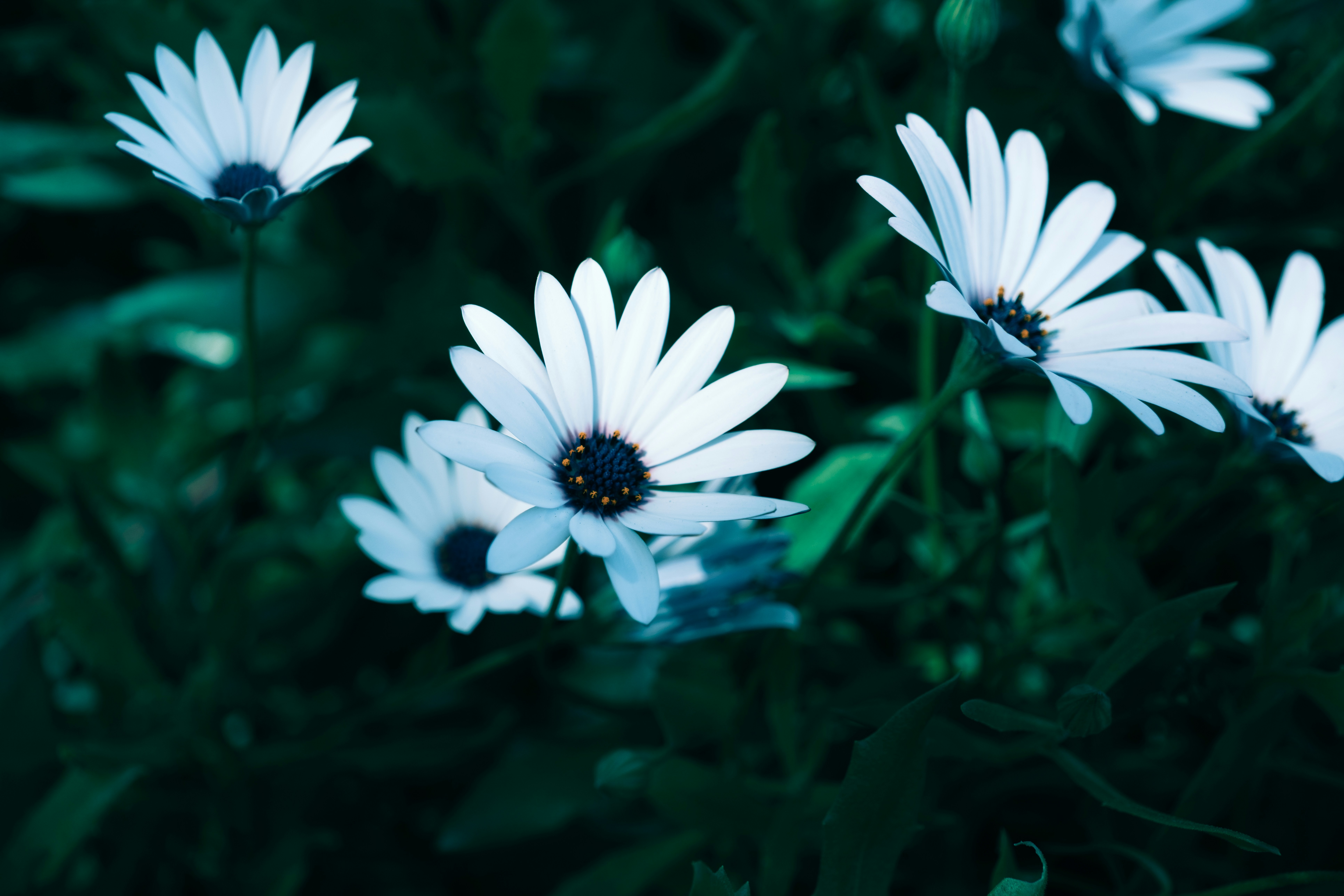 Photo by april_vasquez