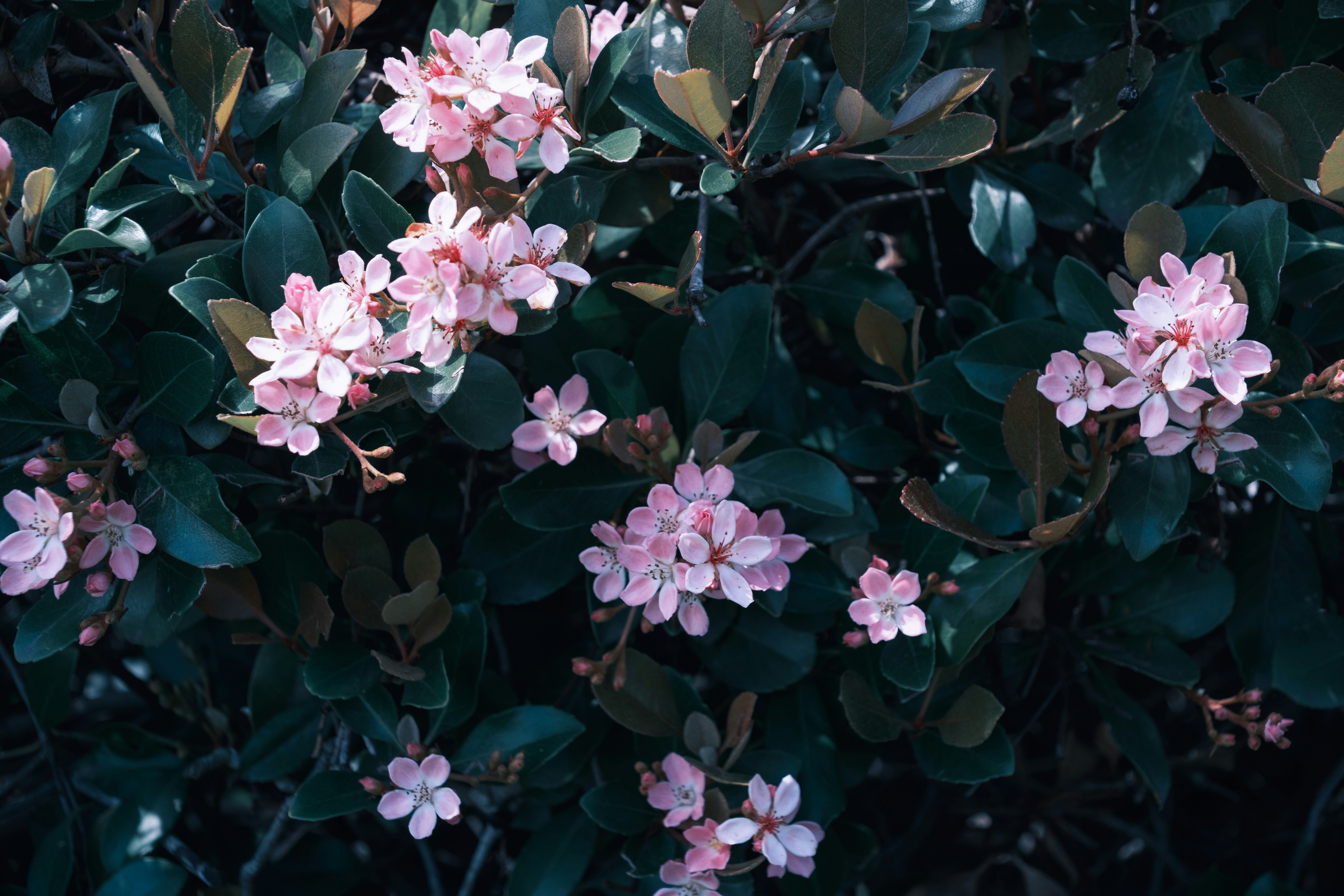 Photo by april_vasquez