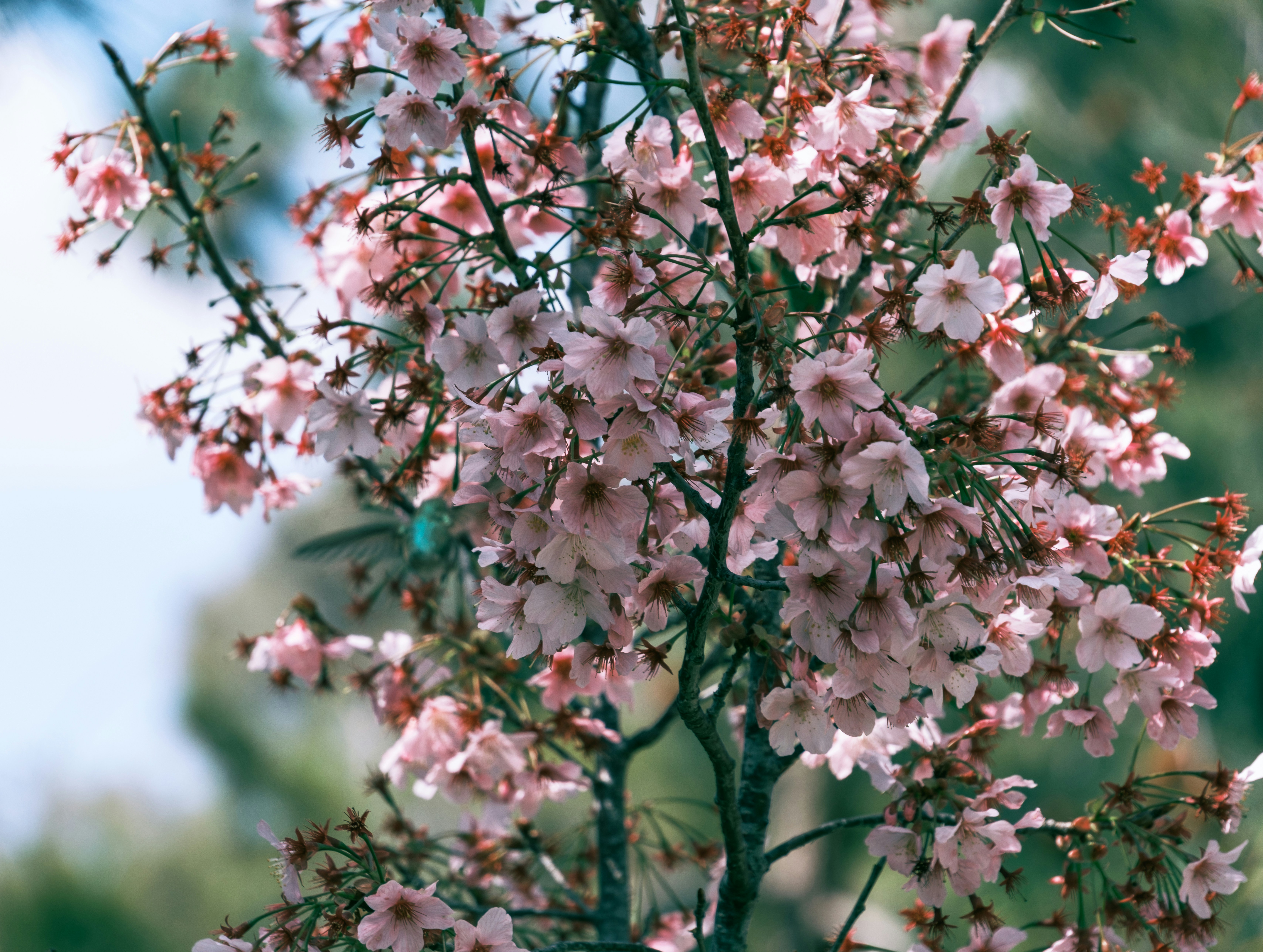 Photo by april_vasquez