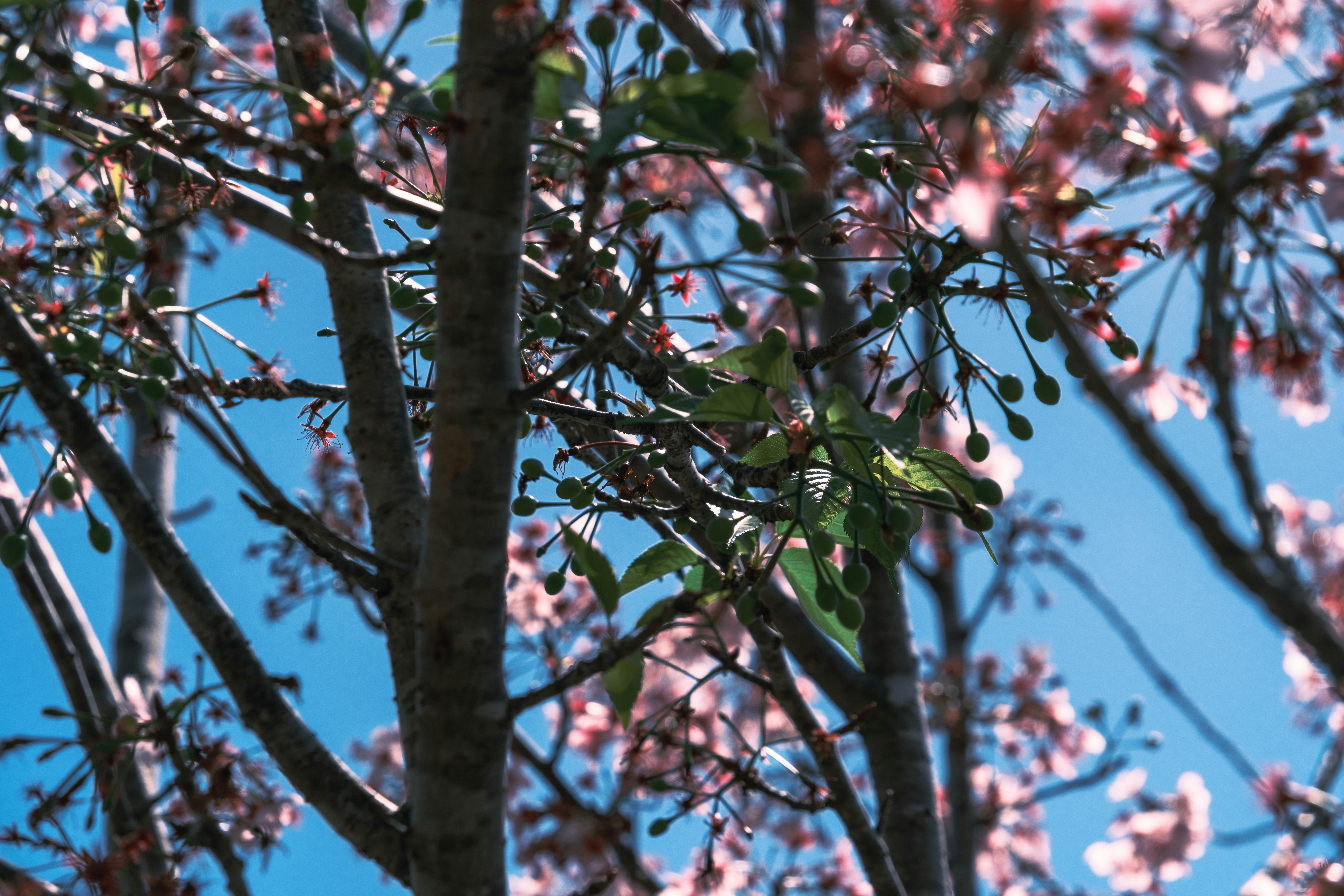 Photo by april_vasquez