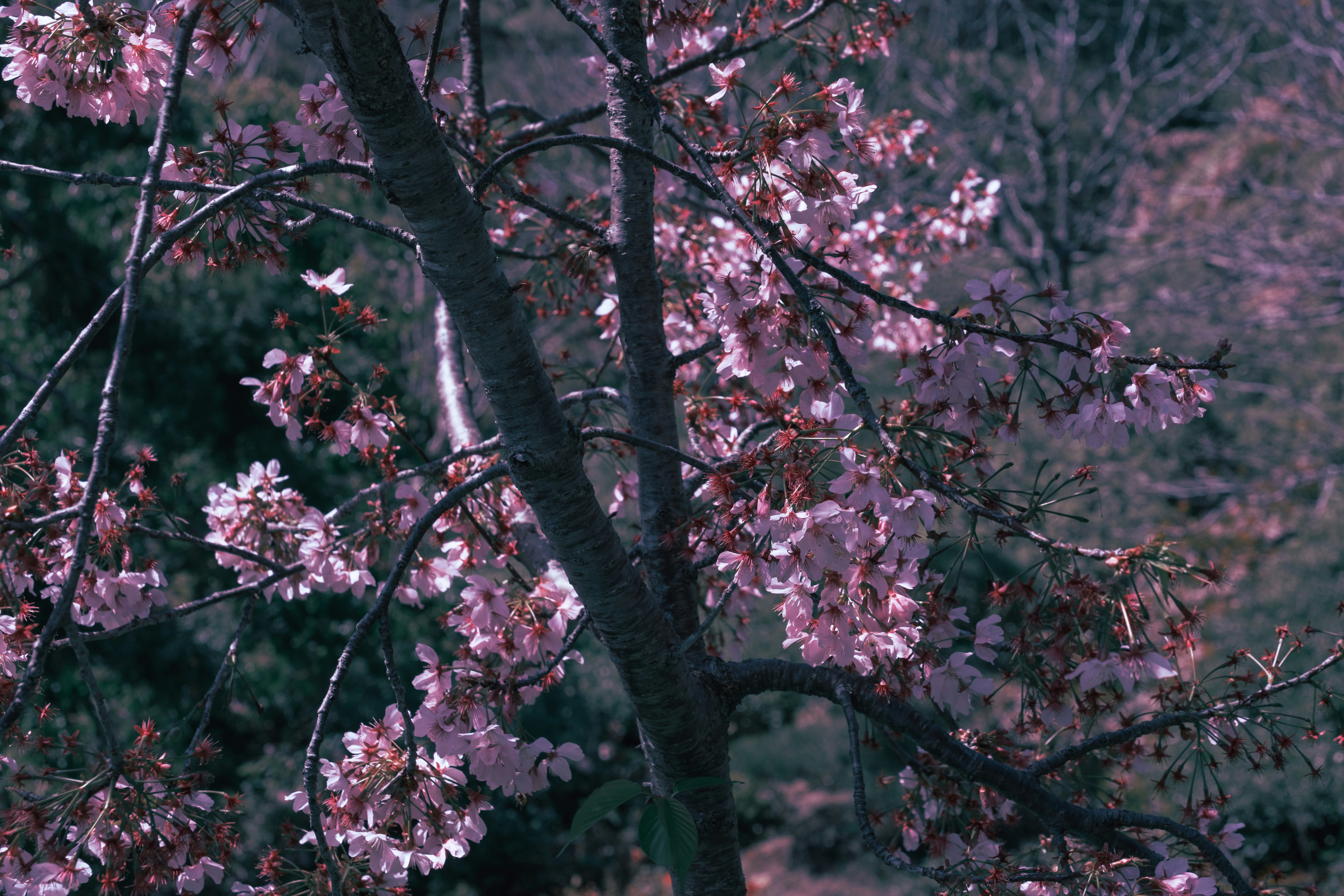 Photo by april_vasquez