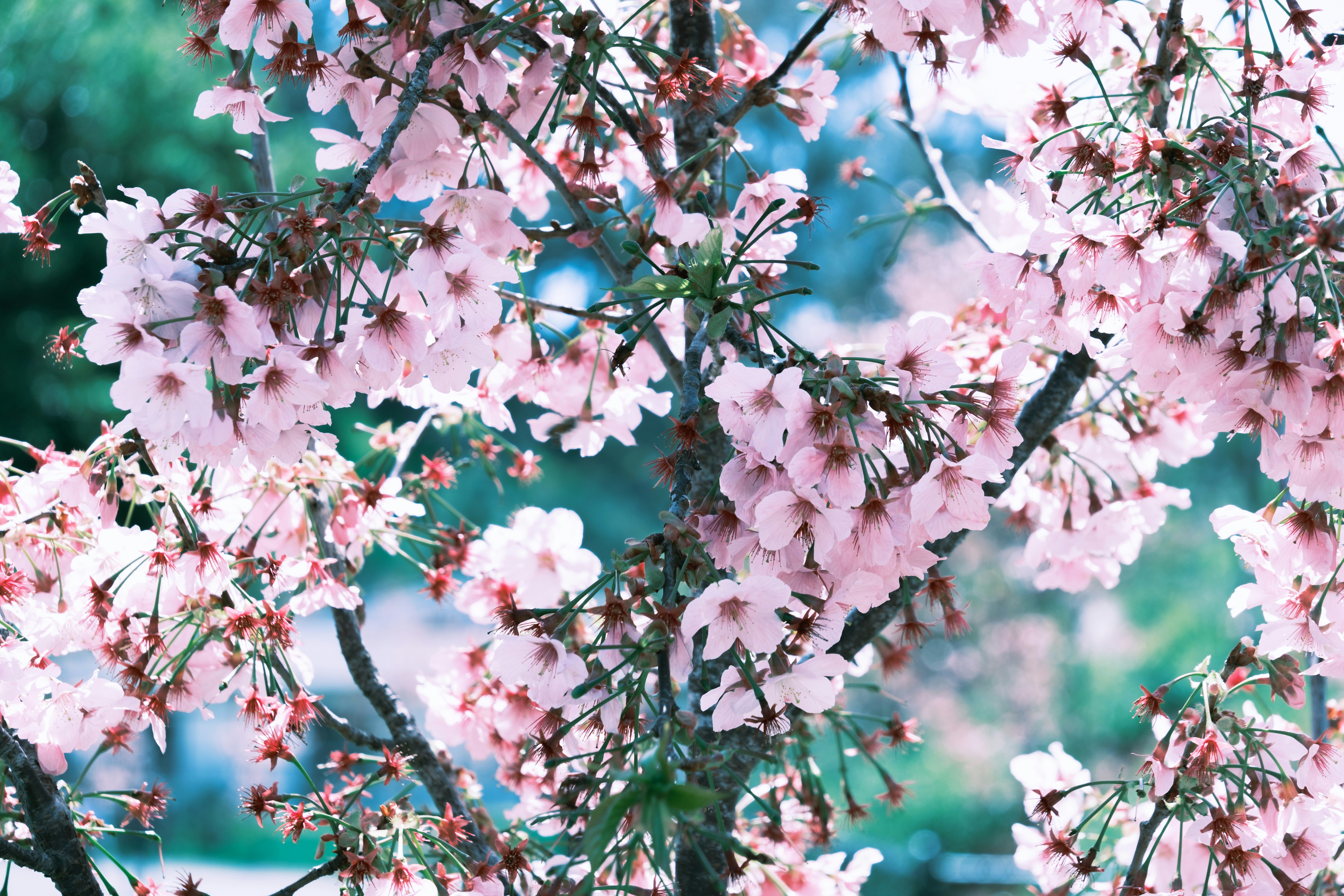 Photo by april_vasquez