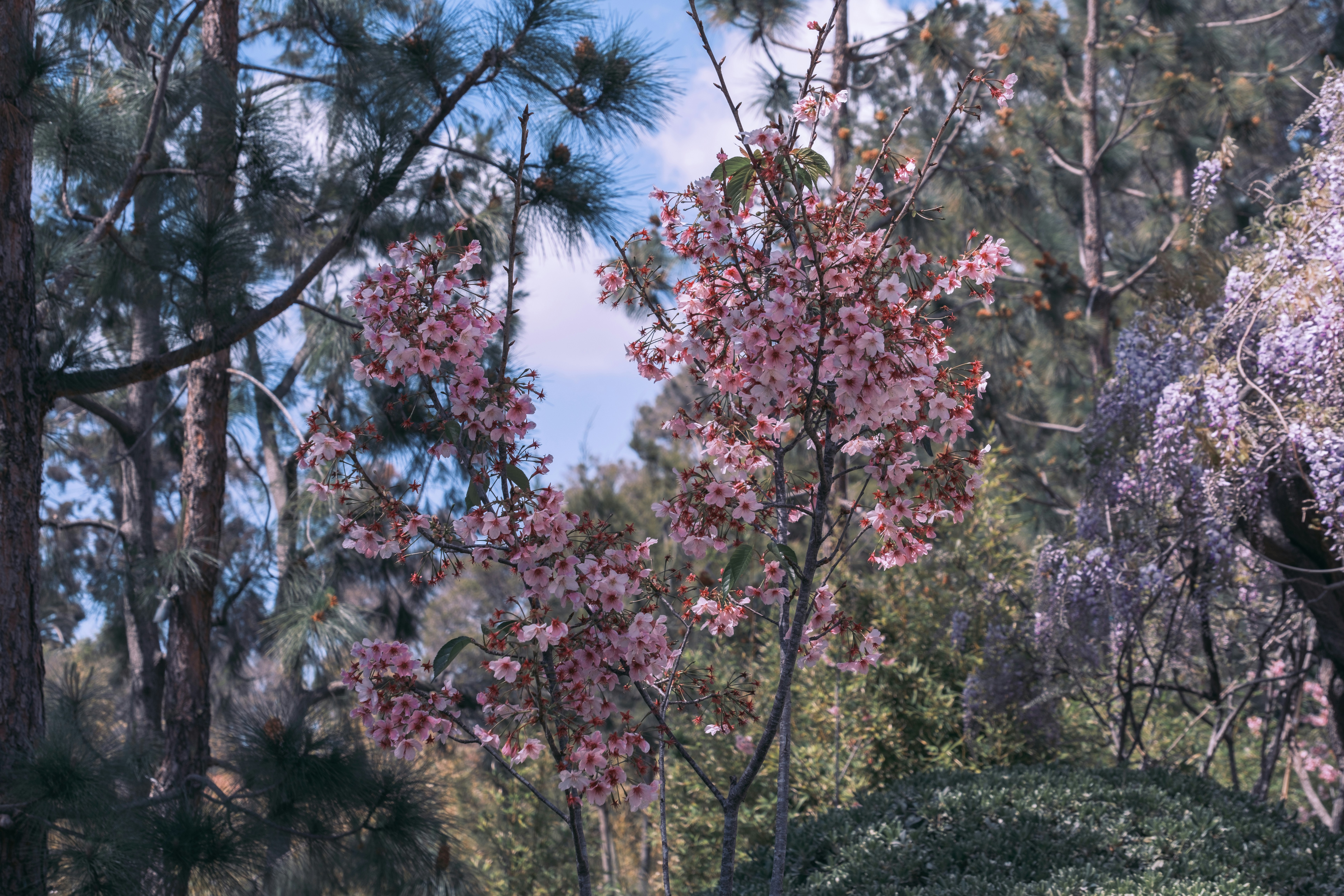 Photo by april_vasquez