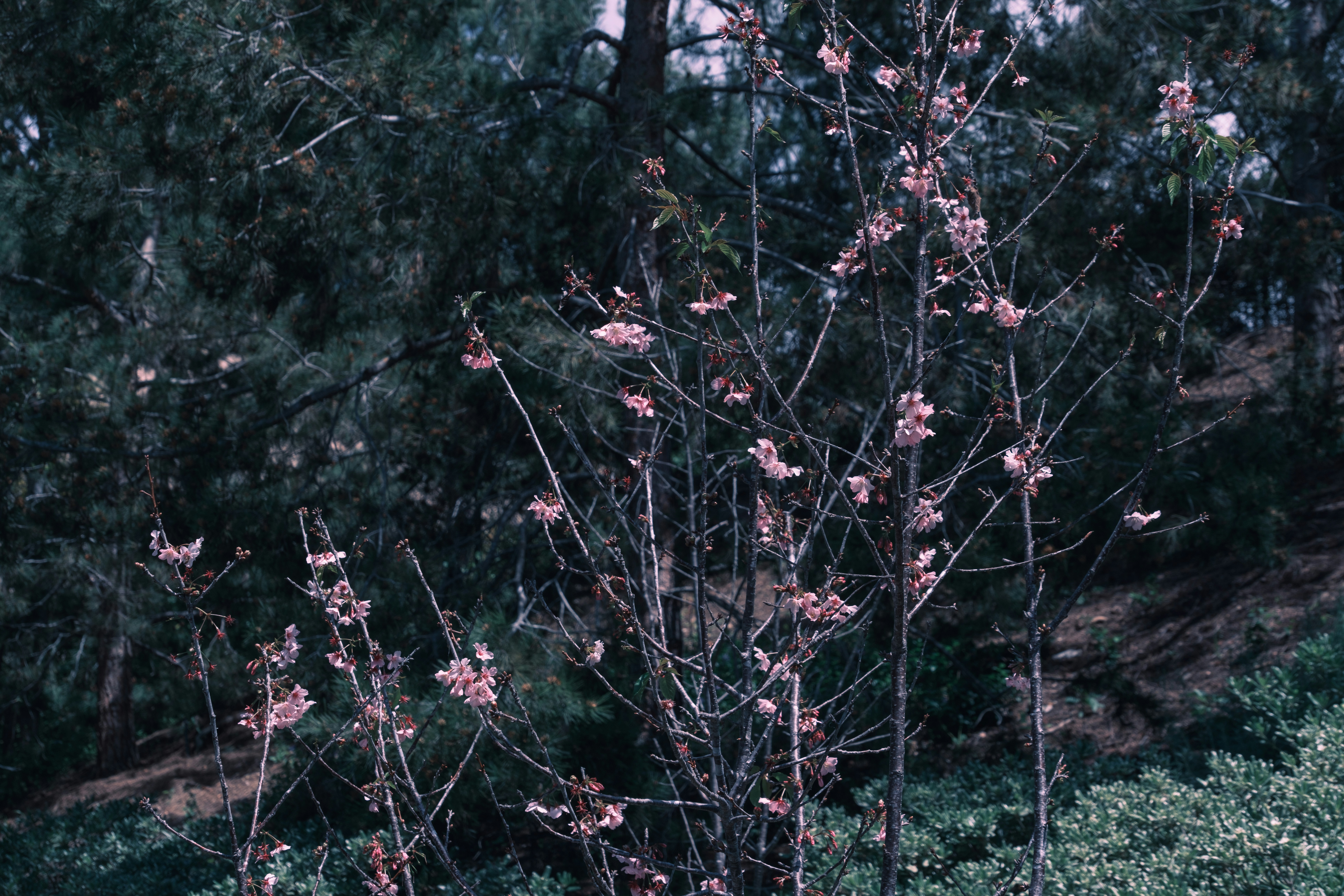 Photo by april_vasquez