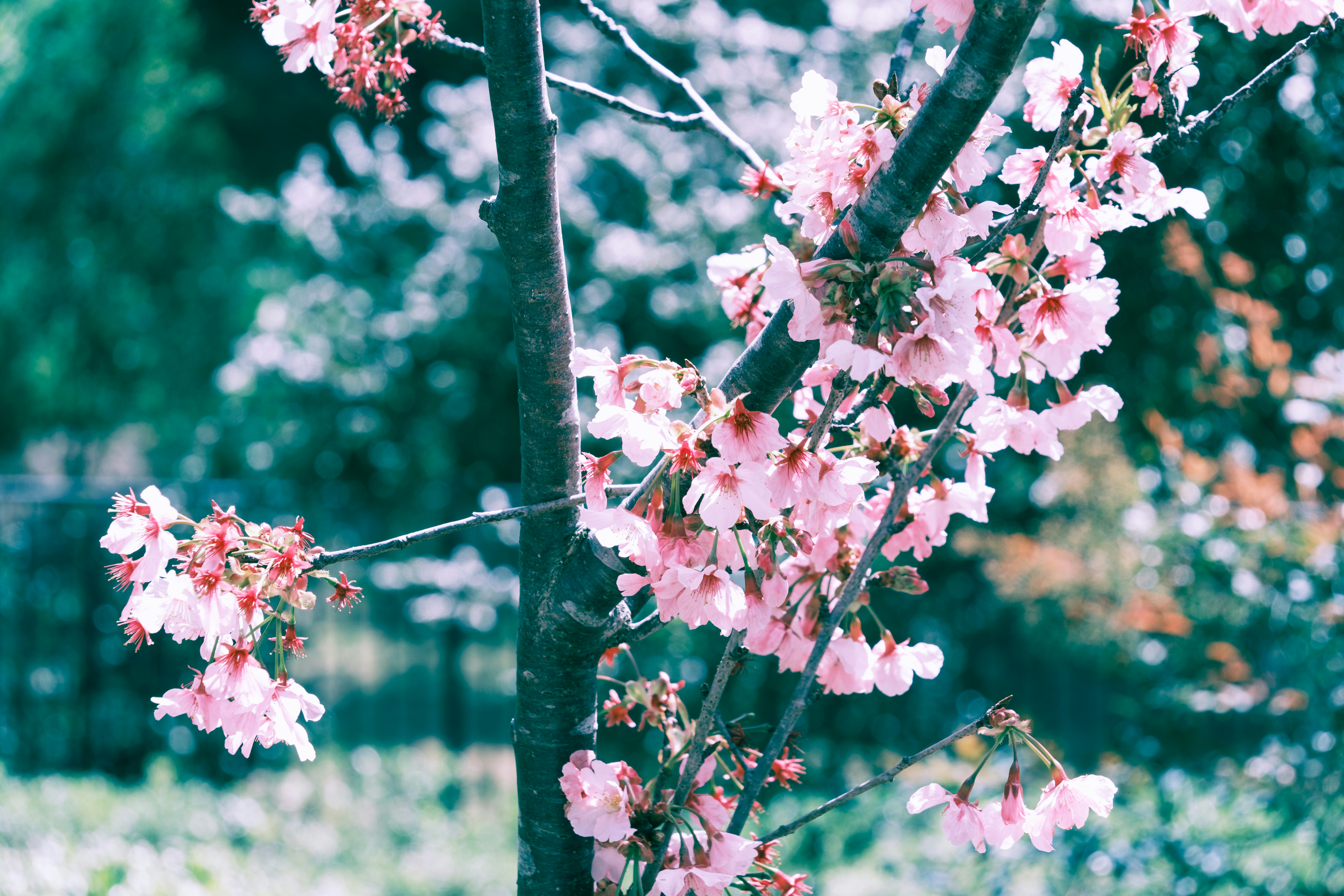 Photo by april_vasquez